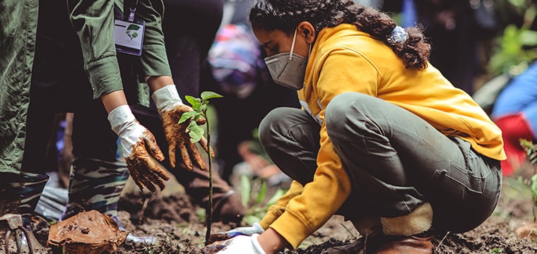 tree planting girl